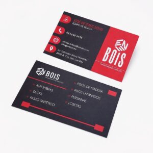 Tarjetas de presentación (100 piezas)